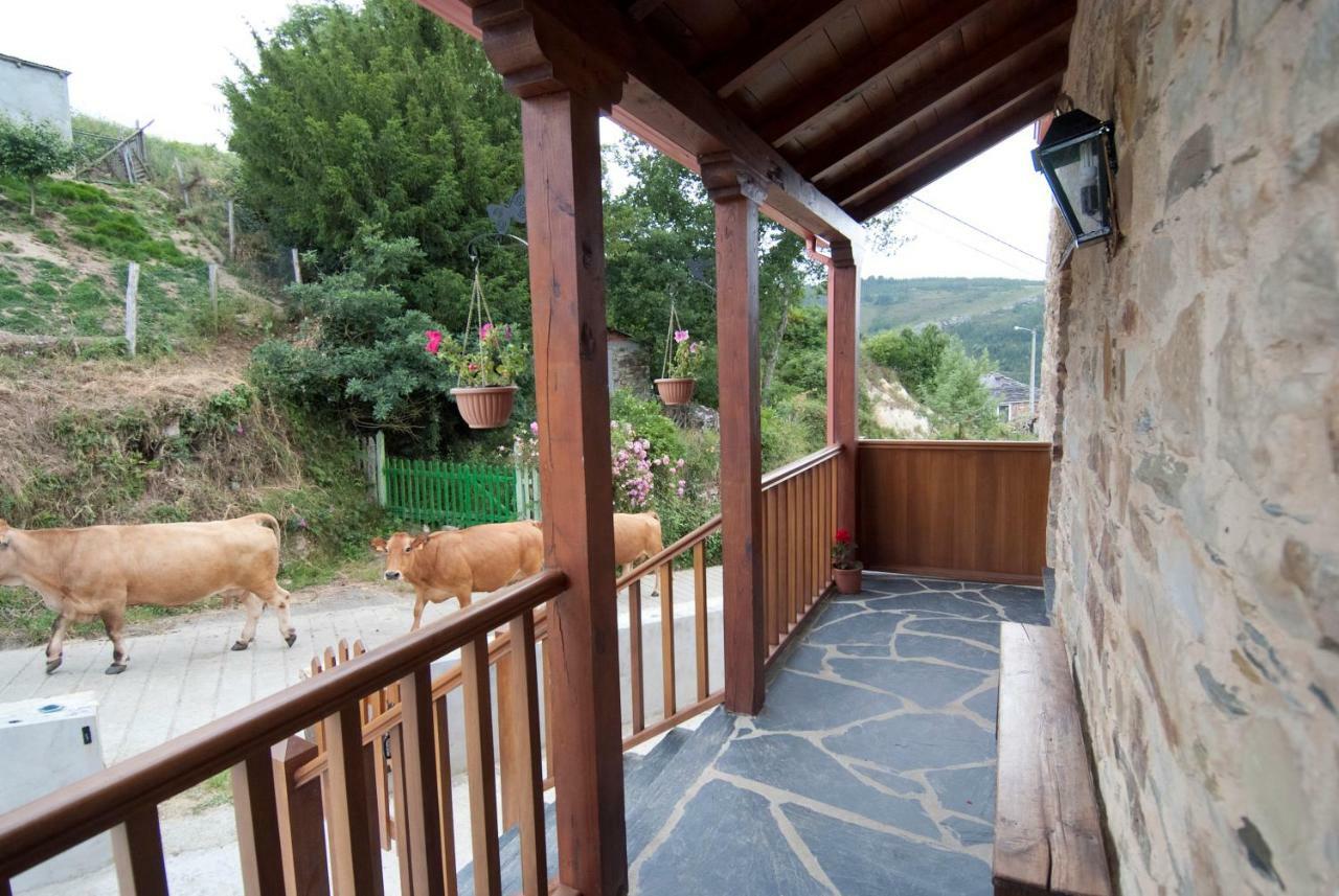 Apartamentos Rurales Tia Vicenta Санта-Еулалія-де-Оскос Екстер'єр фото